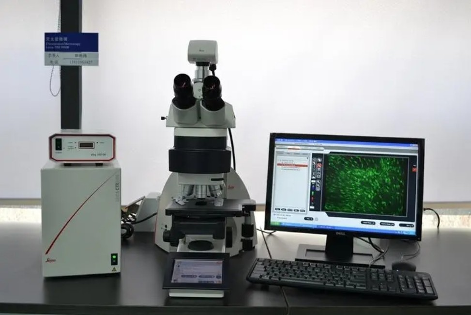 濾光片是如何決定顯微鏡成像性能的？