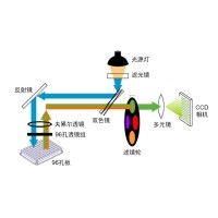 什么是熒光定量PCR、數字PCR？